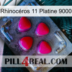Rhinocéros 11 Platine 9000 13